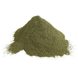 ALGA LECHUGA DE MAR EN POLVO ECO 6/70g.